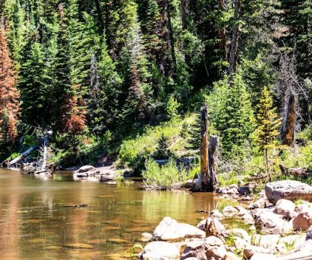 Ledgefork Campground