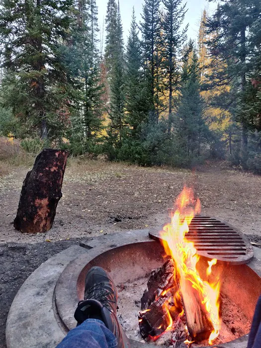 Ledgefork Campground Picture 10