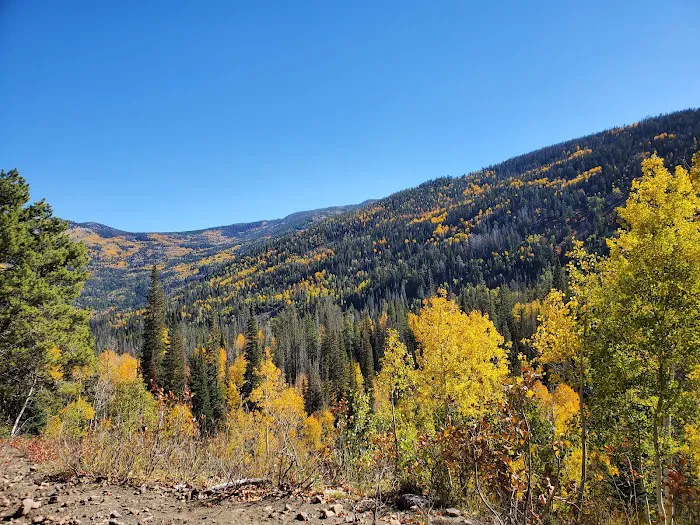 Ledgefork Campground Picture 2