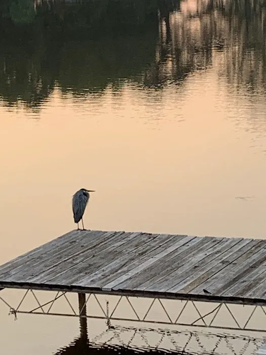 Lake Haven RV Retreat Picture 4
