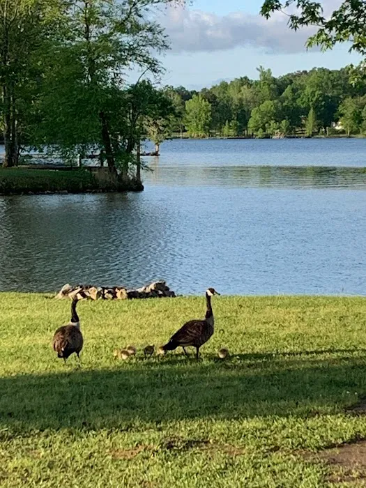 Lake Haven RV Retreat Picture 6