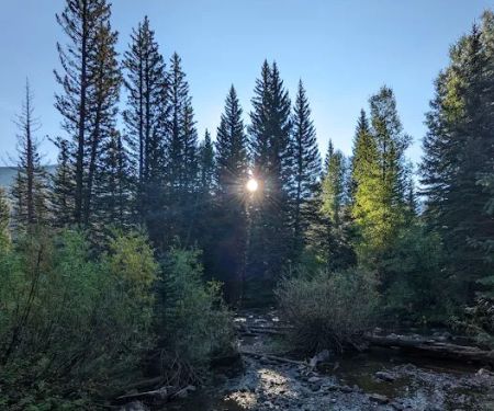 Smith and Morehouse Campground