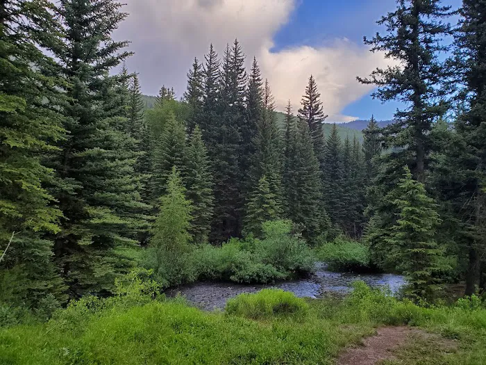 Smith and Morehouse Campground Picture 9