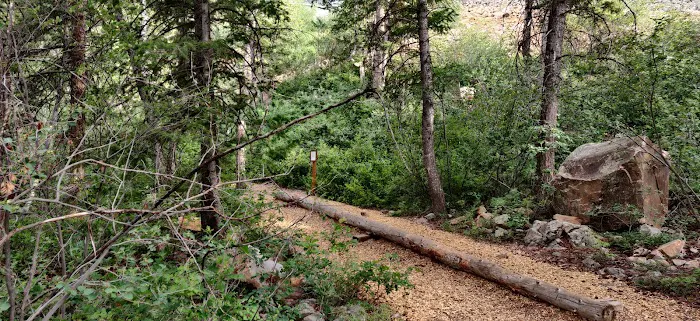 Oakcrest Camp Picture 4