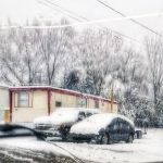 Magnolia Mobile Home Park