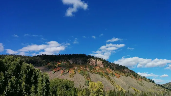 YMCA Camp Roger Picture 1