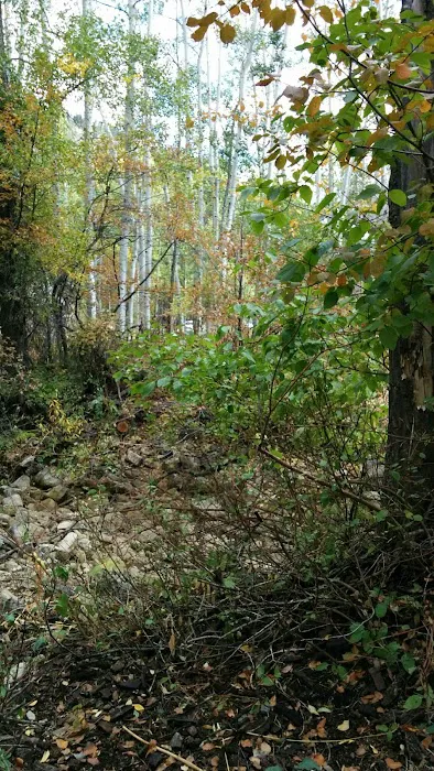 YMCA Camp Roger Picture 2