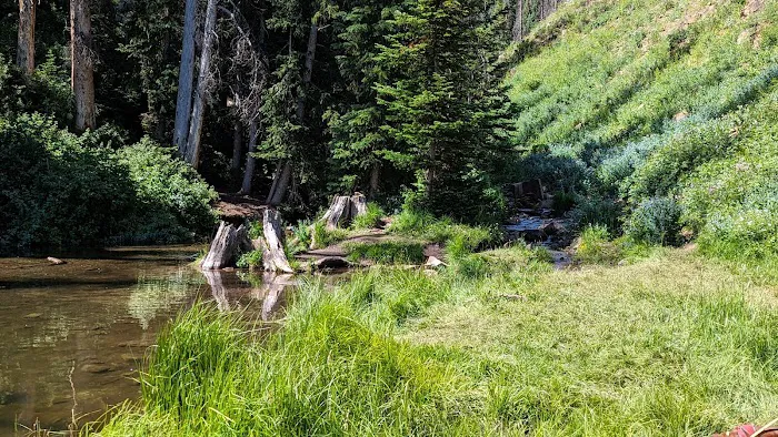 Mill Hollow Campground Picture 1