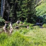 Mill Hollow Campground