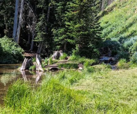 Mill Hollow Campground