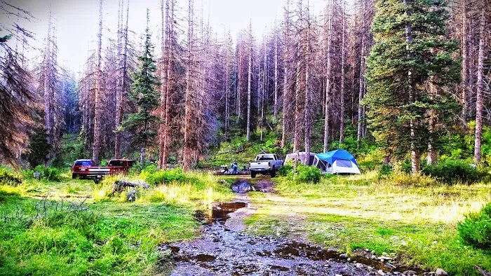 Mill Hollow Campground Picture 7