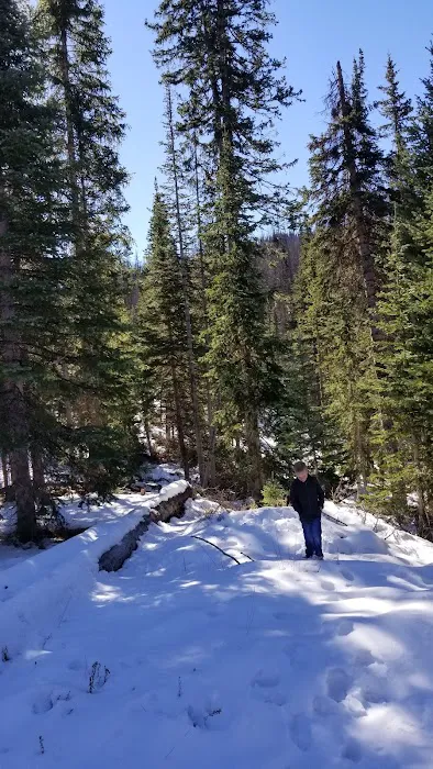 Mill Hollow Campground Picture 5