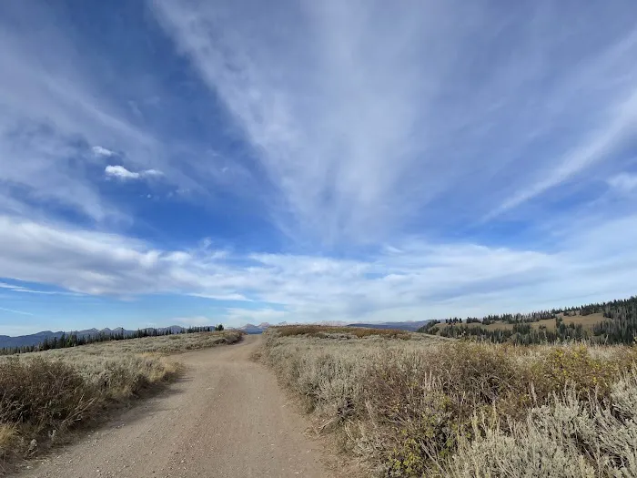 Mill Hollow Campground Picture 6