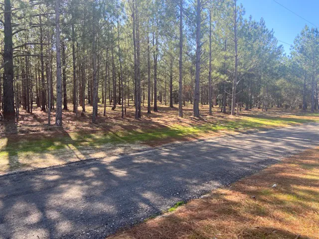 Livin On Wheels RV Park Picture 2