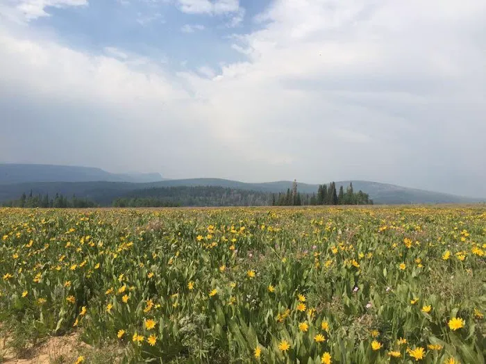 Piuta Recreation Camp Picture 5