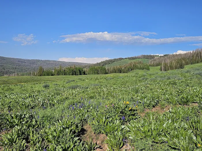 Piuta Recreation Camp Picture 9