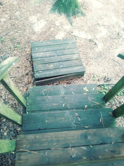 Cypress Lake Mobile Home Park Picture 7