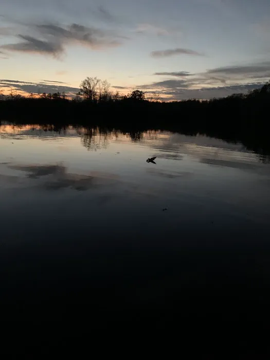 Cypress Lake Mobile Home Park Picture 5