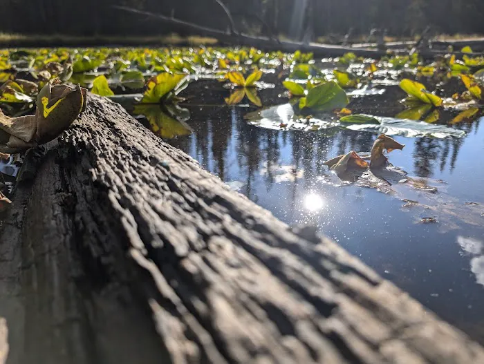 Soapstone Basin Camping Picture 1