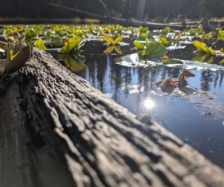 Soapstone Basin Camping