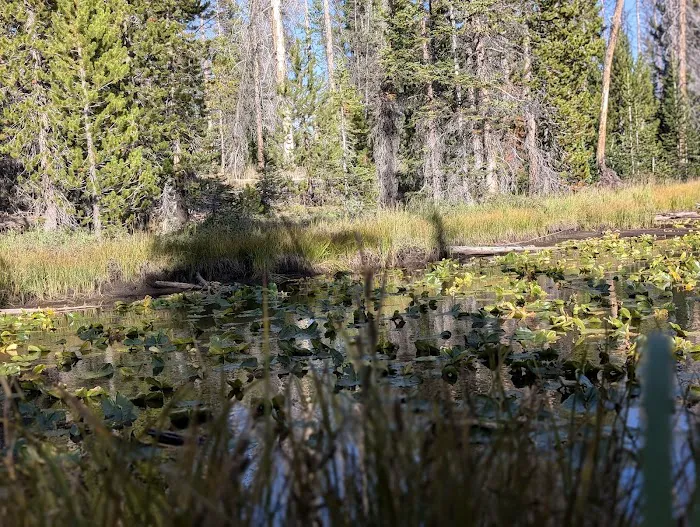 Soapstone Basin Camping Picture 5