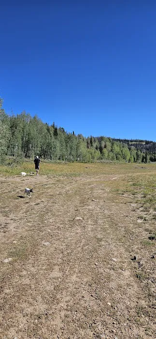 Soapstone Basin Camping Picture 7