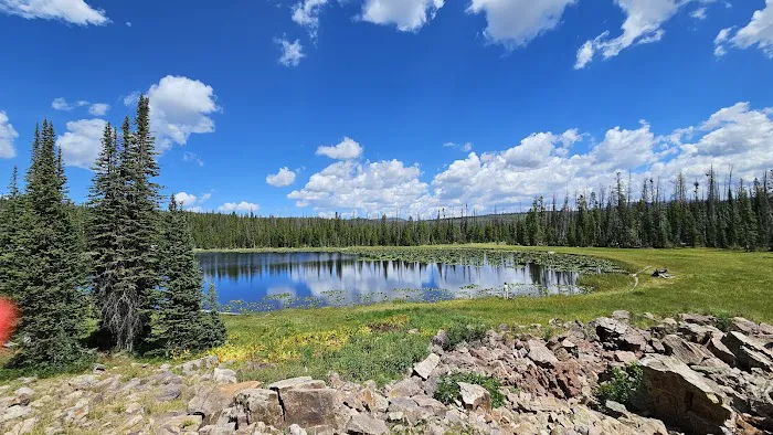 Soapstone Basin Camping Picture 10