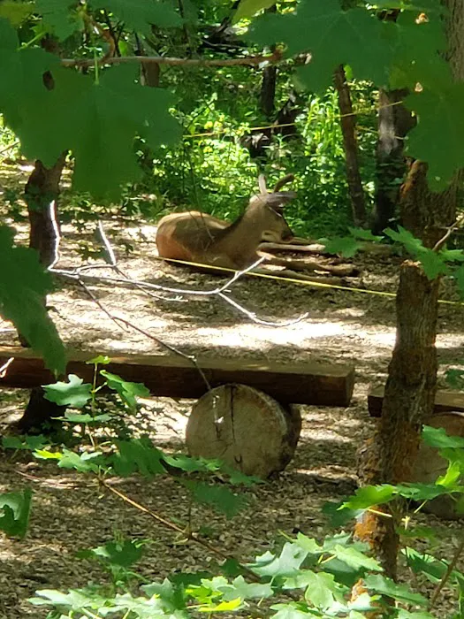 Camp Esther Picture 4