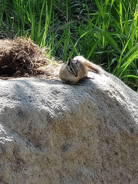 Camp Esther Picture 2