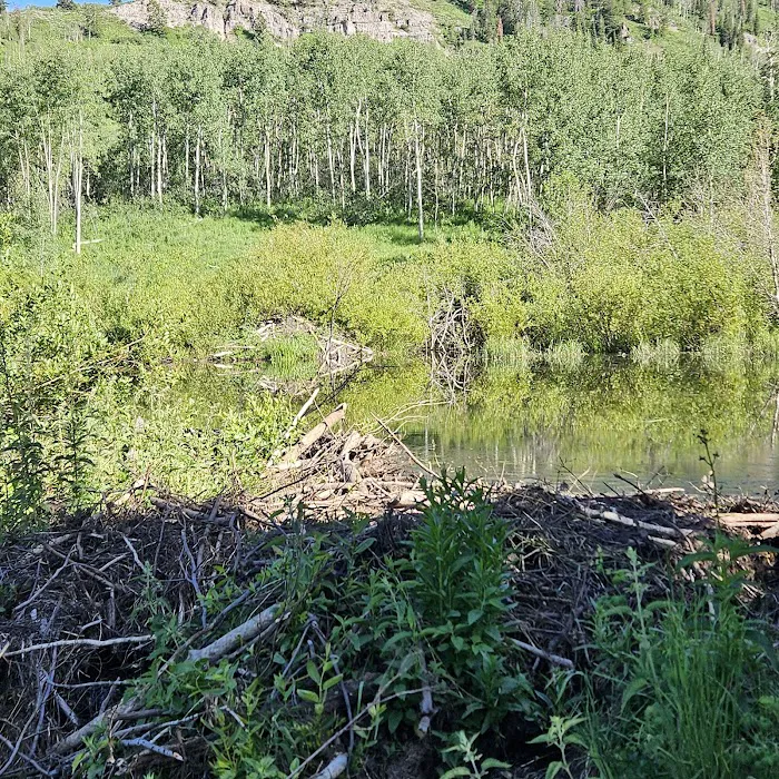 Camp Sariah Picture 4