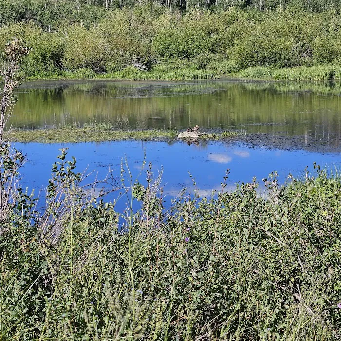 Camp Sariah Picture 5