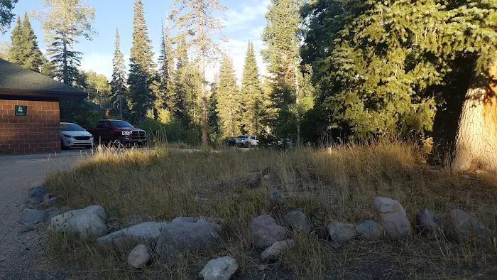 Camp Sariah Picture 7