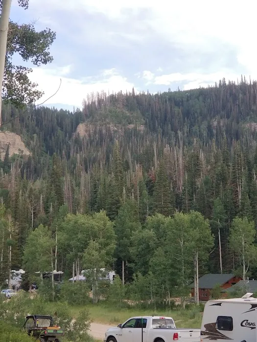 Camp Sariah Picture 10