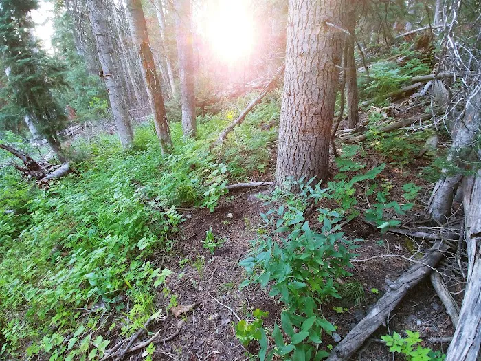 Camp Sariah Picture 8