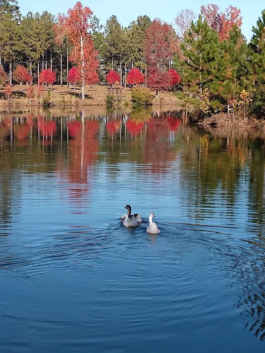 Whispering Pines RV Park Picture 2