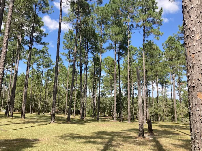 Whispering Pines RV Park Picture 4