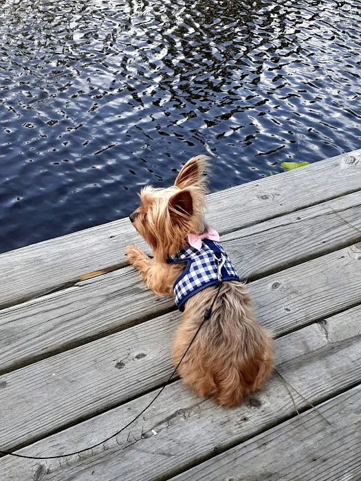 Whispering Pines RV Park Picture 9