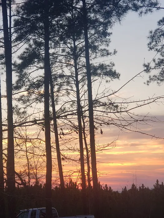 Whispering Pines RV Park Picture 10