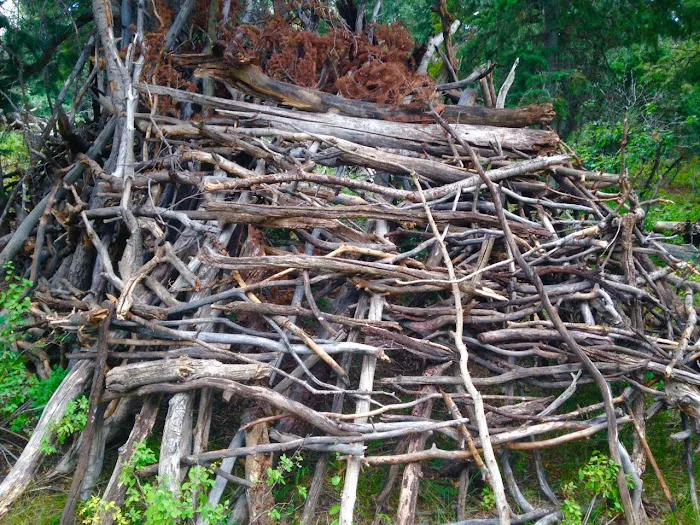 Camp Rebekah Picture 8