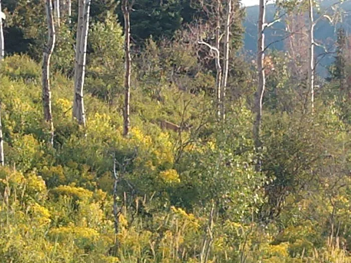 Camp Rebekah Picture 5