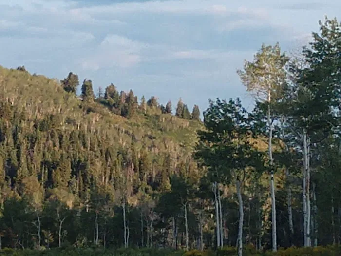 Camp Rebekah Picture 4