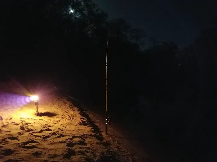 Heckel Island Picture 2