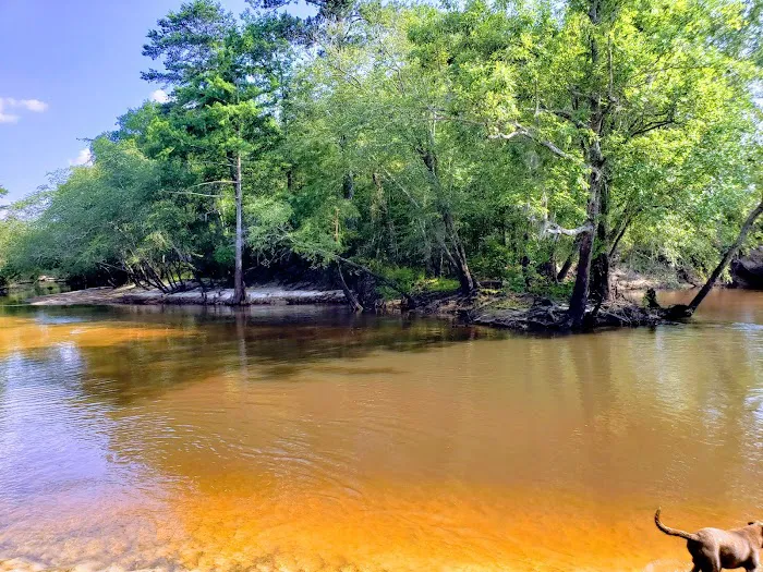 Heckel Island Picture 6