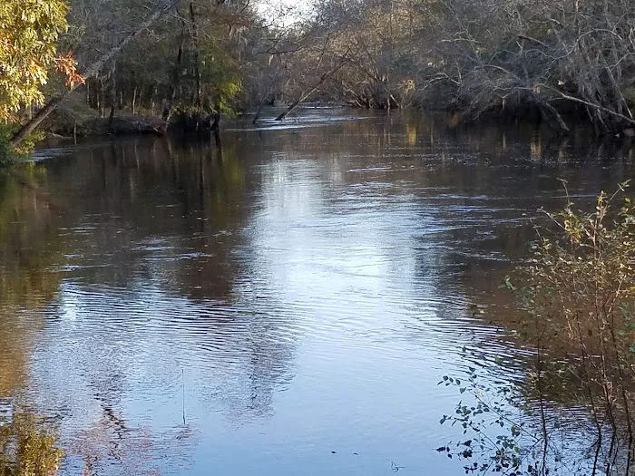 Heckel Island Picture 10