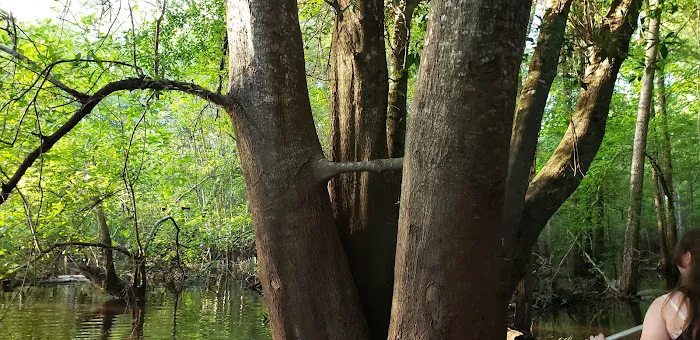 Heckel Island Picture 5