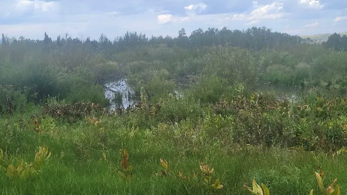 Camp Bertha Stone Reeder Picture 4