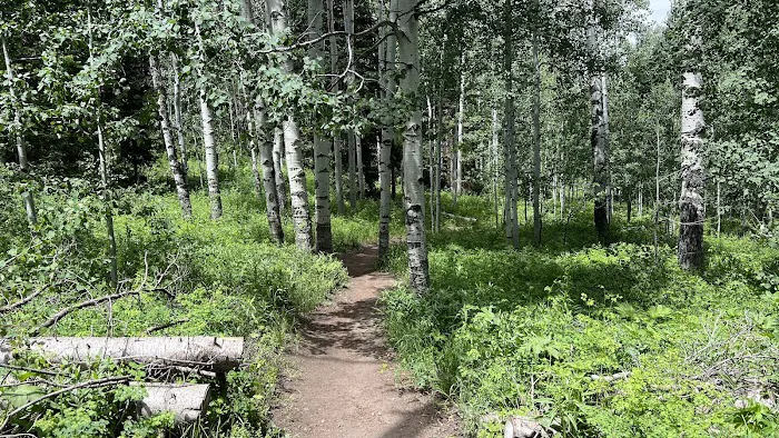 Camp Bertha Stone Reeder Picture 6