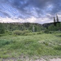 Camp Bertha Stone Reeder ico