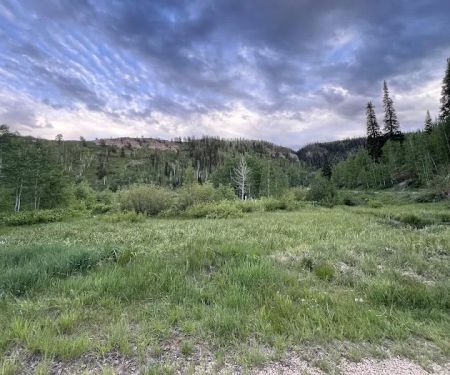 Camp Bertha Stone Reeder