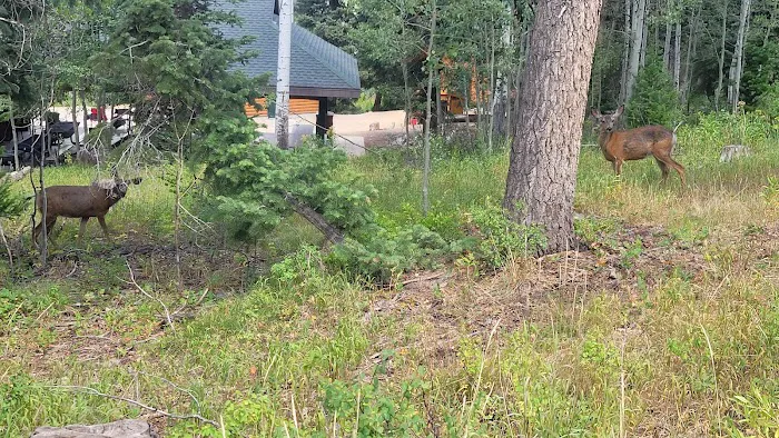 Camp Bertha Stone Reeder Picture 3